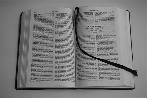 The Bible Free Stock Photo - Public Domain Pictures