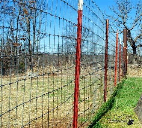 The Best Fencing for Goats in 2021 | Goat fence, Livestock fence, Goat pen