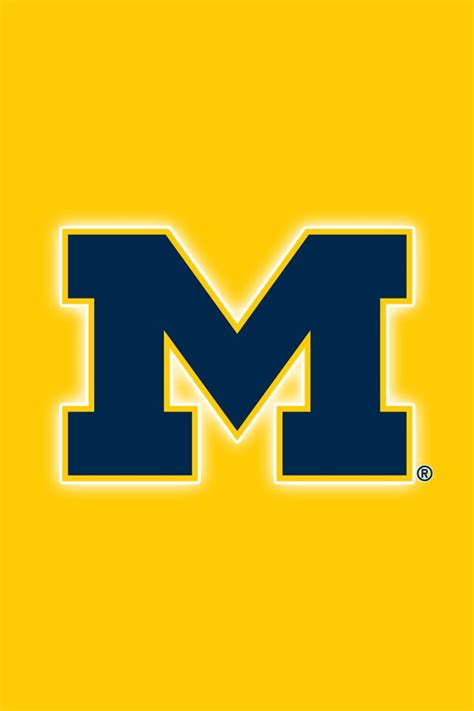 Contact Support | Michigan football, Wolverines, Michigan