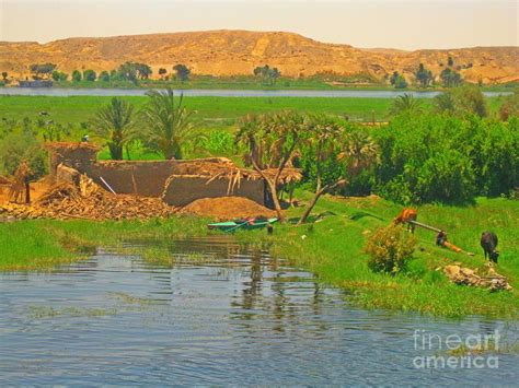 Ancient Farming On The Nile Photograph by John Malone