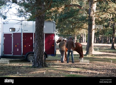 Lady with horse to be assessed by the New Forest Pony breeders at the corals at Beaulieu Road in ...