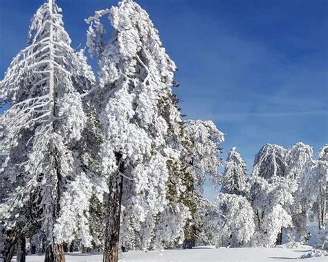 The Winter Magic of Troodos Mountains in Cyprus - GreekReporter.com