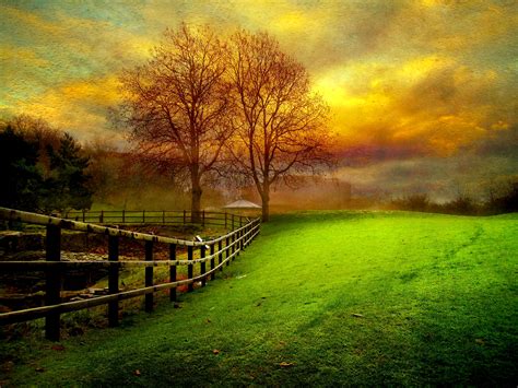 Download Sunset Cloud Sky Fall Tree Country Field Man Made Fence HD Wallpaper