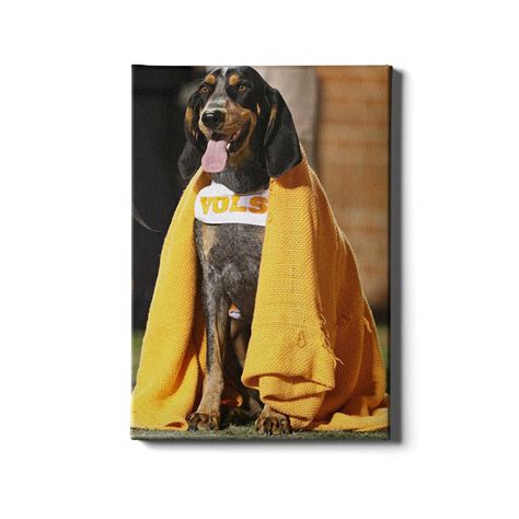 Tennessee Volunteers - Smokey's Blanket - Vol Wall Art