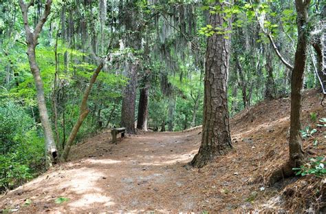 9 Easy Hiking Trails in Virginia Beach (+ Trailhead Map)