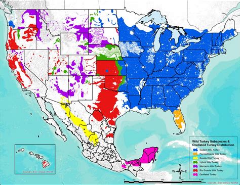 Wild Turkey Habitat - The National Wild Turkey Federation
