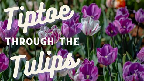 Tiptoe Through the Tulips - Tulsa Botanic GardenTulsa Botanic Garden