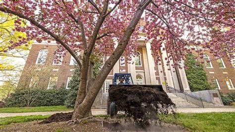 Keeping Carolina beautiful | UNC-Chapel Hill