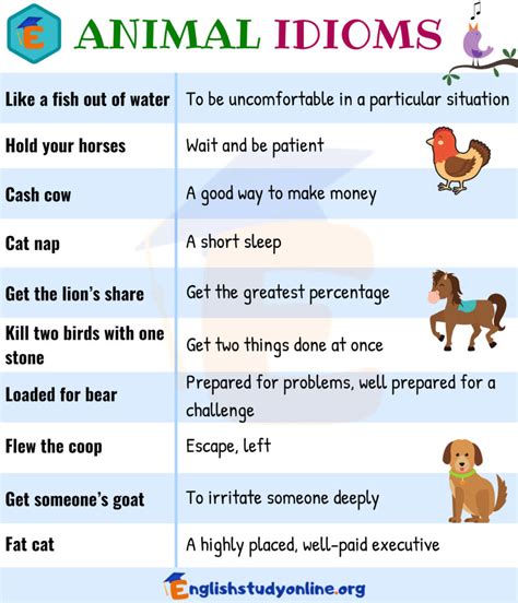 10 Useful Animal Idioms in English with their Meaning - English Study ...