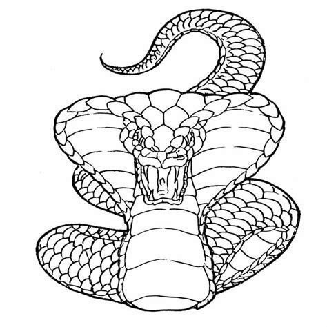 Angry outline cobra snake tattoo design - Tattooimages.biz