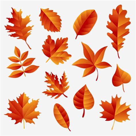 Autumn Leaf Fall Vector Design Images, Orange Autumn Leaf Autumn Vector ...