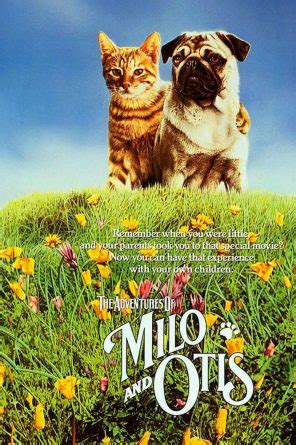 Milo And Otis Review | Movies4Kids