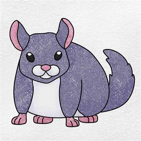 How to Draw a Chinchilla - HelloArtsy