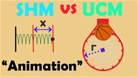 Simple Harmonic Motion VS Uniform Circular Motion | Animation - YouTube