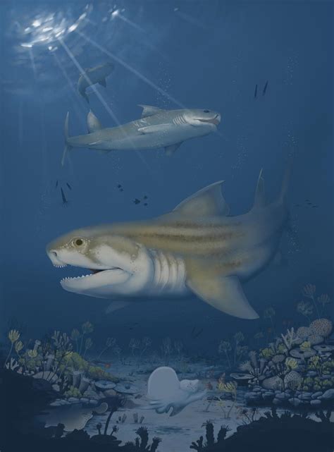 Paleontologists Discover Two New Shark Species From Fossils in Mammoth Cave National Park