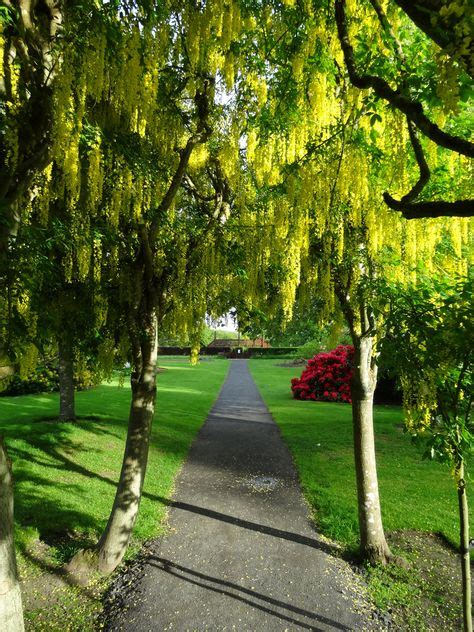 15 Scone Palace Gardens ideas | palace garden, palace, grounds