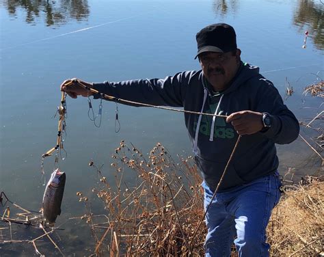 Mojave Narrows Park Lake Fish Report - Victorville, CA (San Bernardino County)