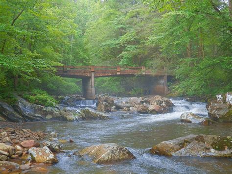 BMThiker's Waterfalls: Waterfalls on the Tellico River, Tennessee