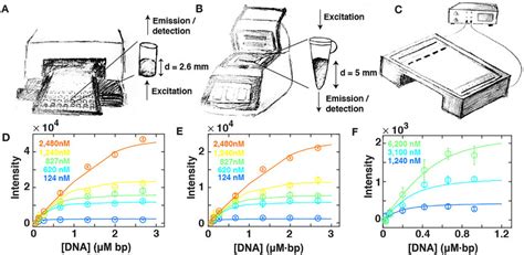 Fluorescence as a function of DNA and SYBR Gold concentrations below ...