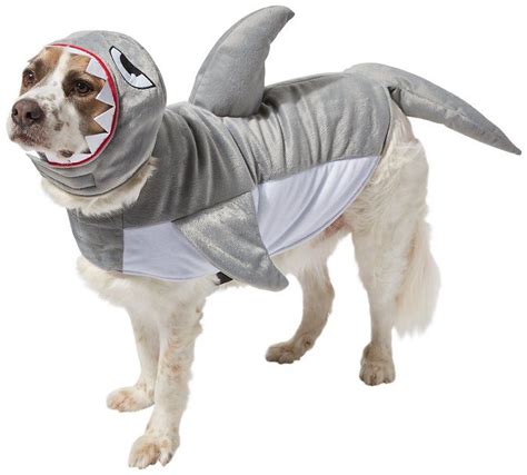 Chewy Dog Halloween Costumes | Best Costumes Ideas