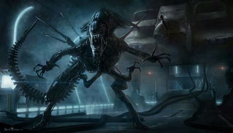 Xenomorph Queen | Alien Versus Predator Universe Amino