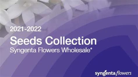 Syngenta Flowers Catalog | Best Flower Site