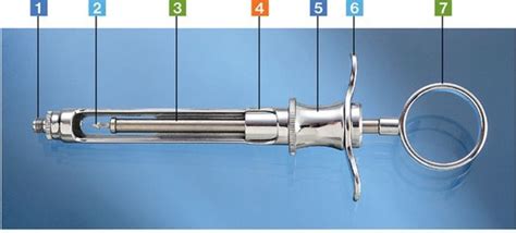 Syringe Diagram | Quizlet