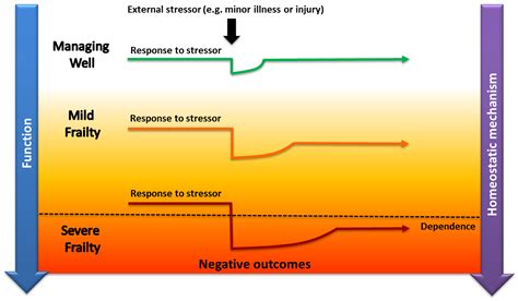 Elderly Frailty Scale