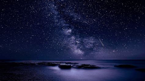 Sea Stars Wallpapers - Top Free Sea Stars Backgrounds - WallpaperAccess