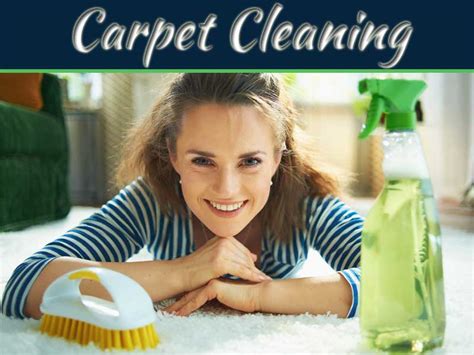 Eco Friendly Carpet Cleaning Techniques | My Decorative