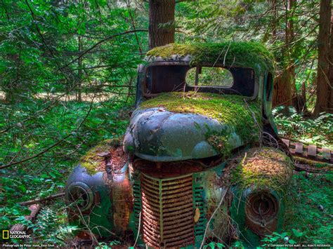 Abandoned Cars Wallpaper - WallpaperSafari