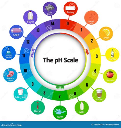 39 ph scale with labels