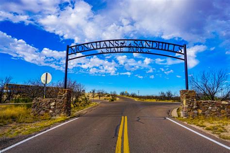 Monahans Sandhills State Park: A Review - The Traveling Vet Girl