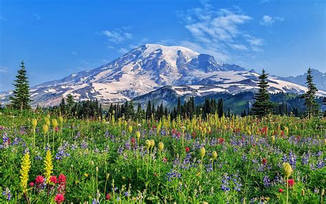 5 Prominent Dormant Volcanoes - WorldAtlas