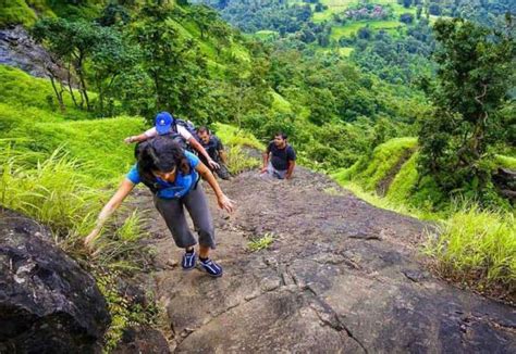 Hiking Tour in Wayanad - 1 | Wayanad Experience | Wayanad Adventure