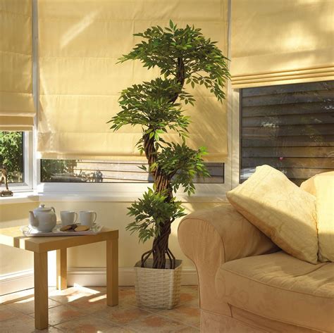 a living room with a couch, coffee table and potted plant