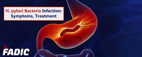 H. pylori Bacteria