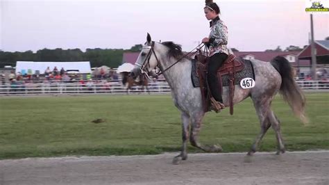 2016 Ava, Missouri Fox Trotter Spring Show Youth Champion 12 - 17 years old - YouTube