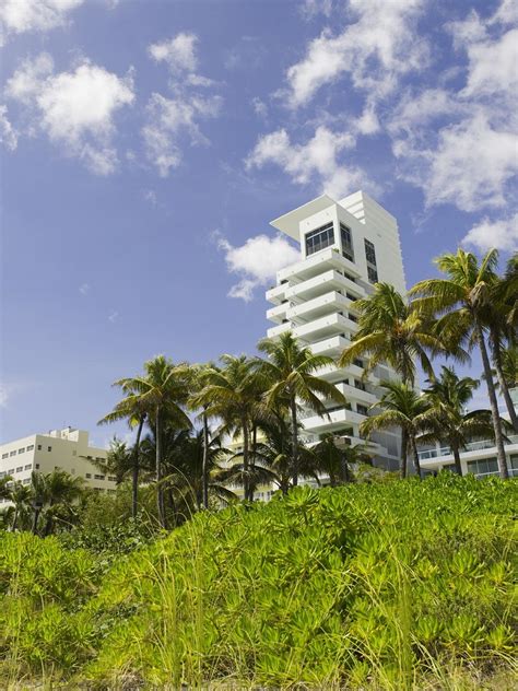 Soho Beach House - Miami, FL, USA Overlooking the... | Soho beach house, Soho beach house miami ...