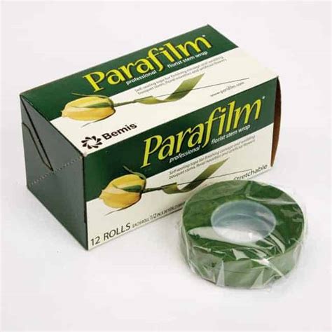 Parafilm green stem tape | Wholesale floristry supplies