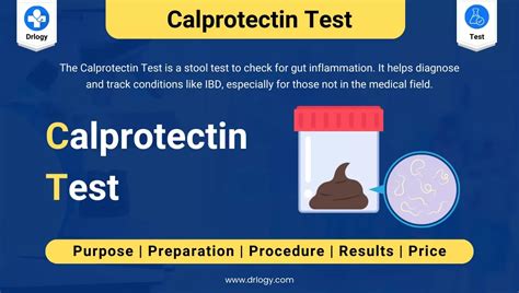 Calprotectin Test: Meaning, Price, Procedure & Results - Drlogy