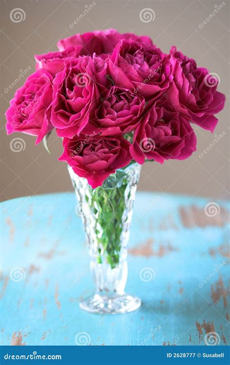 Pink Roses in Vase stock image. Image of fresh, gardening - 2628777