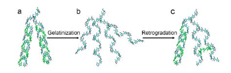 Resistant Starch Type 3 Retrogradation | Hair accessories, Bobby pins ...