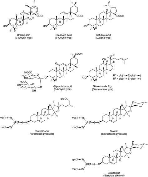 Triterpene and steroid saponins | Download Scientific Diagram