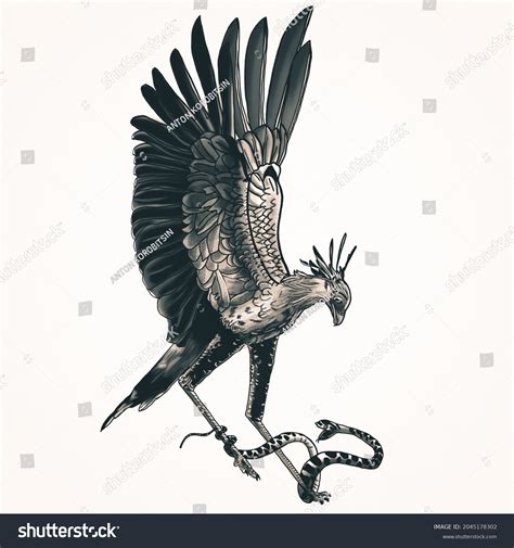 Secretary Bird Snake Stock Illustration 2045178302 | Shutterstock