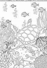 5 Ocean Coloring Pages  Etsy sketch template