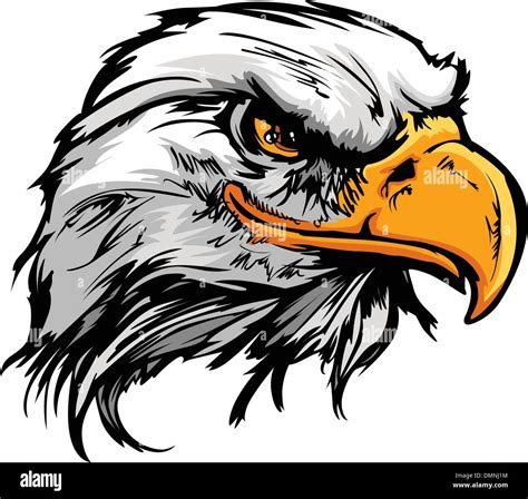 Graphic Head of a Bald Eagle Mascot Vector Illustration Stock Vector ...