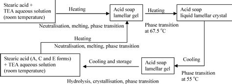 Structure Of Stearic Acid And Triethanolamine