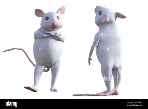 White pet mouse isolated on white, 3d render Stock Photo - Alamy