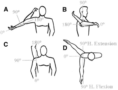 Horizontal Abduction Degrees